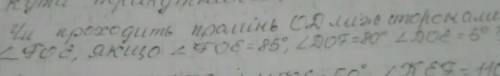 Чи проходить промінь OD між сторонами кут ZOE,як що кутZOE=85°,кут DOZ =80°а кутDOE =5°​
