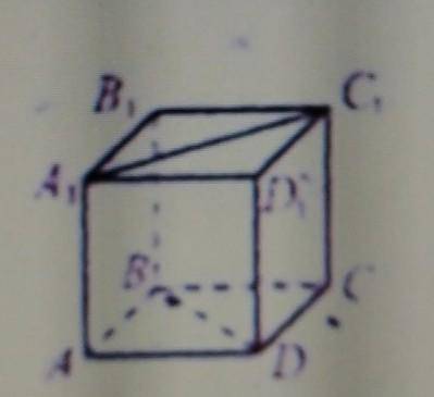 На рисунку зображено куб ABCD A1 B1 C1 d1 серед наведених пар прямих укажіть пару паралельних прями