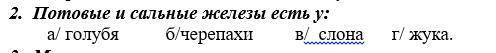 Решить все что на скринах - Удачки ,