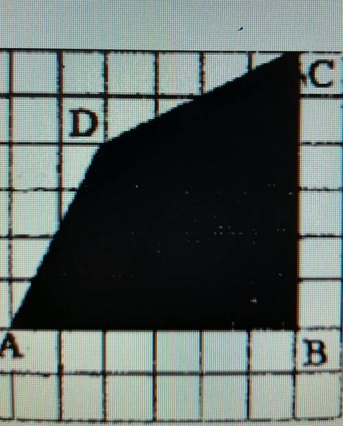 9. Найдите площадь ABCD, если сторона каждой клетки 1 см. ​