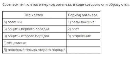 Соотнеси тип клеток и период оогенеза, в ходе которого они образуются.