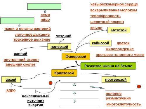 Заполните таблицу по биологии 9 класс развитие жизни на земле,