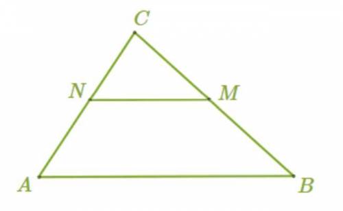 В треугольнике АВС отмечены середины М и N сторон ВС и АС соответственно. Площадь треугольника равн
