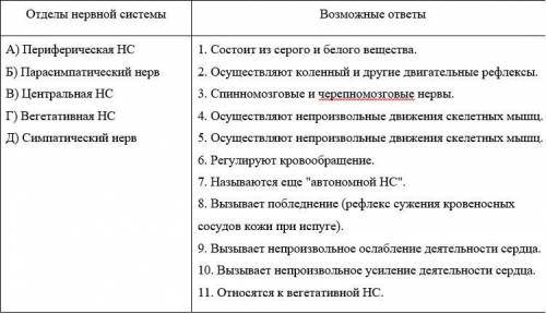 Подберите к отделам нервной системы соответствующие им функции: