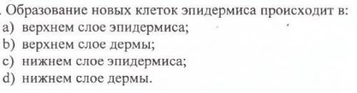 Образование новых клеток эпидермиса происходит в: a) верхнем слое эпидермиса; b) верхнем слое дермы