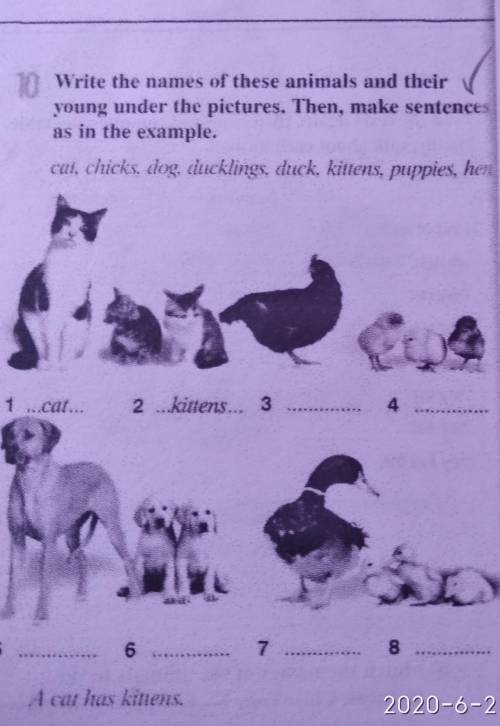 10 Write the names of these animals and their young under the pictures. Then, make sentencesas in