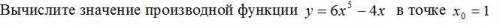 Вычислите значение производной функции y=6x^5-4x в точке x0=1