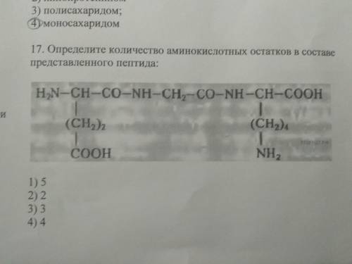 Определите количество аминокислотных остатков в составе представленного пептида: