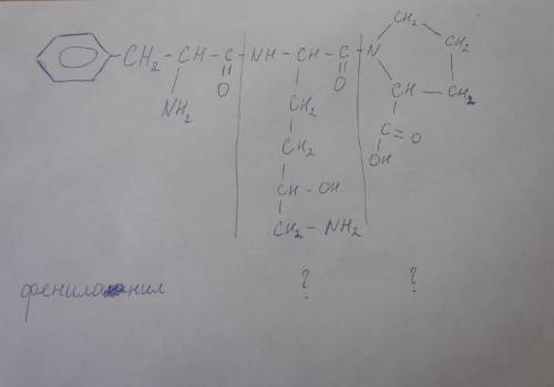 Назовите трипептидФенилаланил-???-пролин