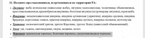 Каких (или какую) черепаху можно дописать до конца этой строки?