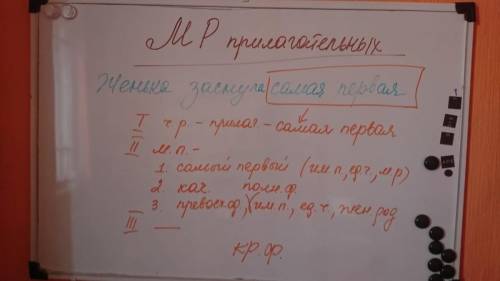 Упражнение 1. Из текста выписывать предложения и делать полный морфологический разбор каждого прилаг