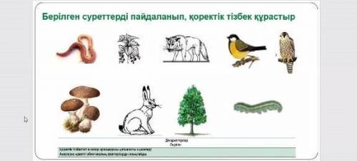 казахи берилген суреттерди пайдалатып​