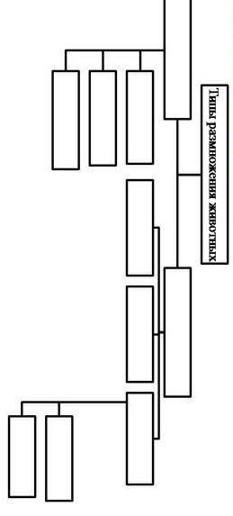 Заполните схему типы размножения животных используя опорные слова. Опорные слова: бесполое, половое,