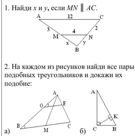 Найди x и y, если MN || AC