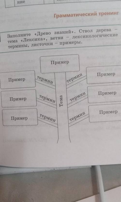 Заполните «Древо знаний» стр.7 упр.3 Ствол дерева – тема «Лексика» ветви – лексикологические термины