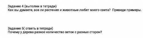 4. Задания Как вы думаете, всё ли растения и животные любят цветый 5. Задание Пачему у дерева разное