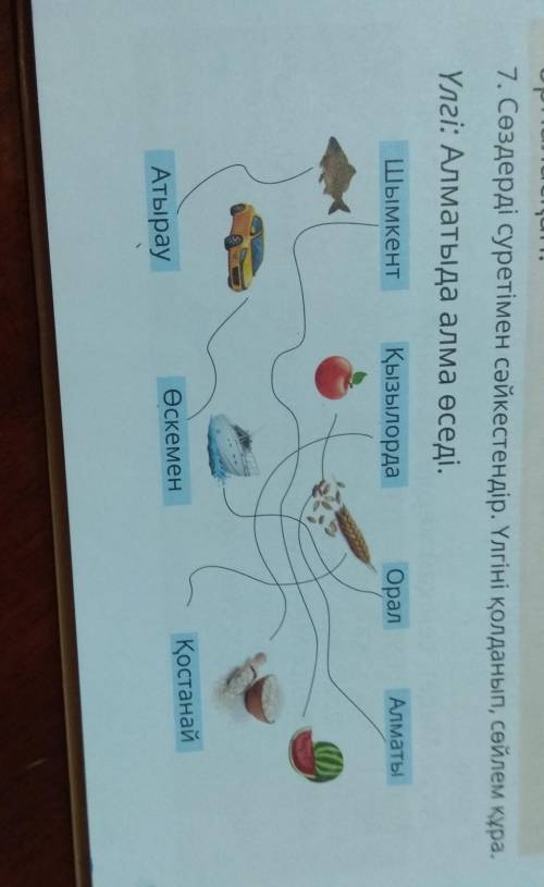 7. Сөздерді суретімен сәйкестендір. Үлгіні қолданып, сөйлем құра. Үлгі: Алматыда алма өседі.