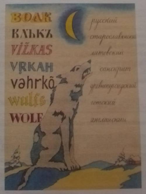 Рассмотрите рисунок из книги А.А Леонтьева «Что такое язык» и определите, слова из языков какой семь