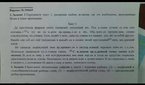 написать текст и объяснить слова в которых нужно было что то поставить и поставить запятые