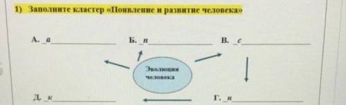 Эволюция человека по кластеру..........