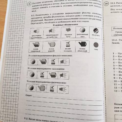 Познакомьтесь с условными выращивание фиалки сенполии цикламена орхидеи фаленопсиса которые данны ус