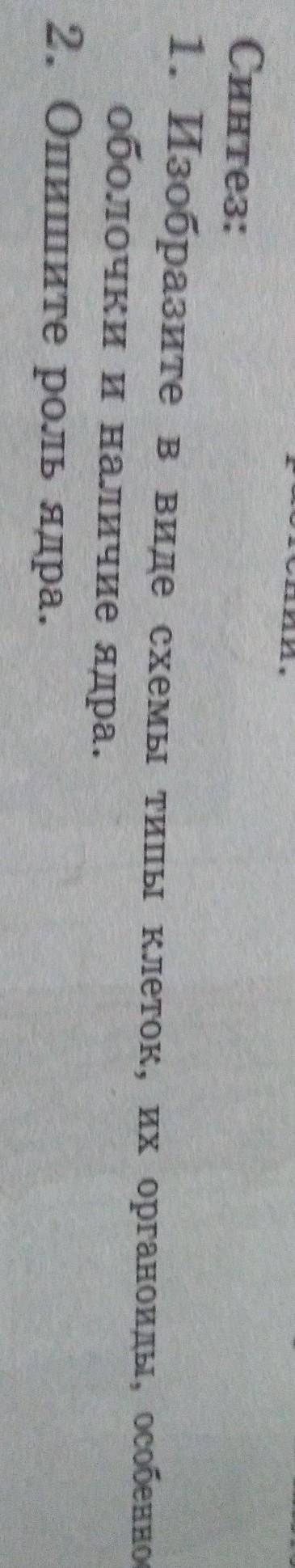 Синтез: 1. Изобразите в виде схемы типы клеток, их органоиды, особенностиоболочки и наличие ядра.2.