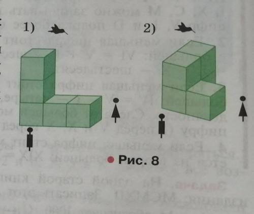 Выходим в пространство Сколькокубиков видит: Света; Тёма; колиб-ри (рис. 8)?​