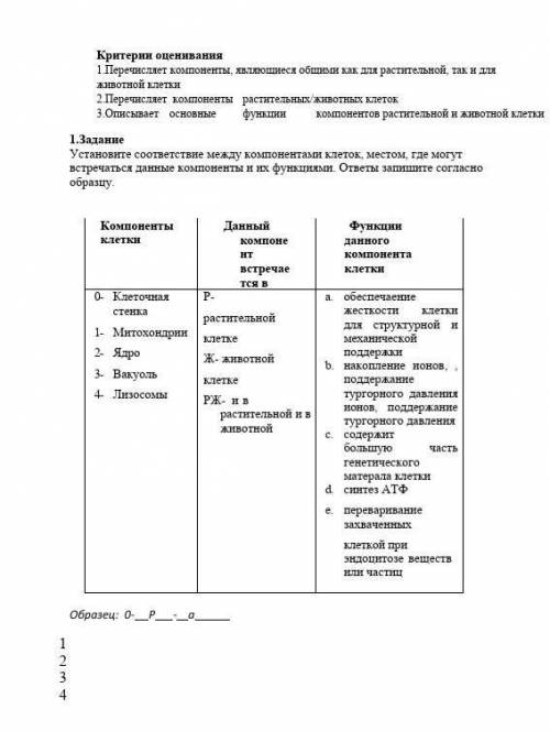 Б Установите соответствие между компонентами клеток, местом, где могут встречаться данные компоненты