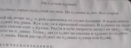 Выпиши из текста по одному существительному первого и второго склонения​