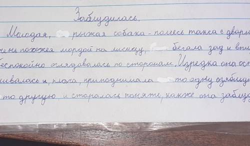 1.усно доказать к какому типу речи отночиться текст 2. Подчеркнуть прилагательные 3.вылелить пристав