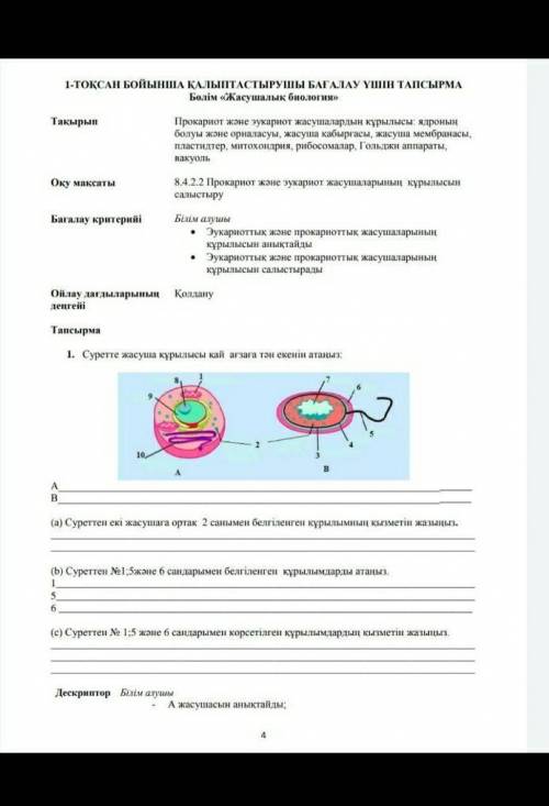 По биология 8 класс ​