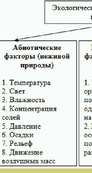 Экологические факторы Общая характиристика Примеры