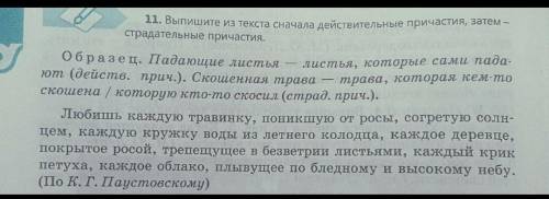 Выпишите из текста сначала действительные причастия ,затем страдательные причастия