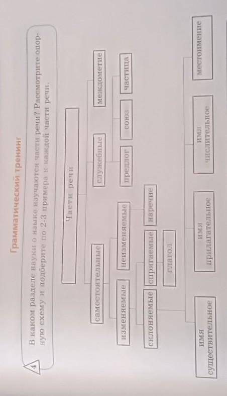 в каком разделе науки изучаются части речи рассмотрите опорный схему и подберите по два три примера