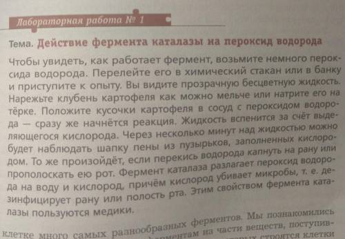 Можете описать что увидели? что получили?и вывод​Просто молю, то до меня что-то недоходит