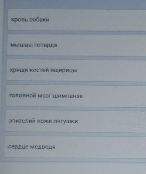 Установите соотвествие между разновидостью ткани и органов и их принадлежность к определённой группе