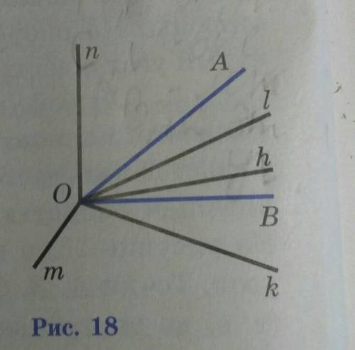 Какие из лучей, изображенных на рисунке 18, делят угол AOB на два угла?​