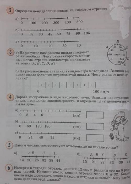 (дам 20 очков) Решите все задание