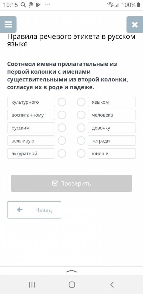 Саки все имена прилагательные из первой колонны с именами существительные из второй колонки согласуя