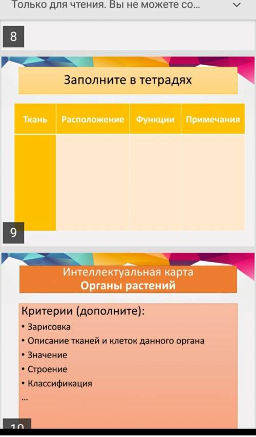 Ткань : расположение , функции , примечание (растений и животных)​