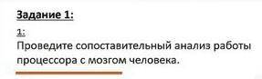 Проводите сапоставительный анализ работы процессора с мозгом человека ​