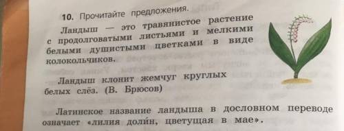 Нужно в 1 абзаце подчеркнуть прилагательные во 2 абзаце найти грамматическую основу во 3 абзаце разо