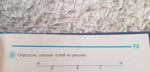 определить,сколько лучей на рисунке?