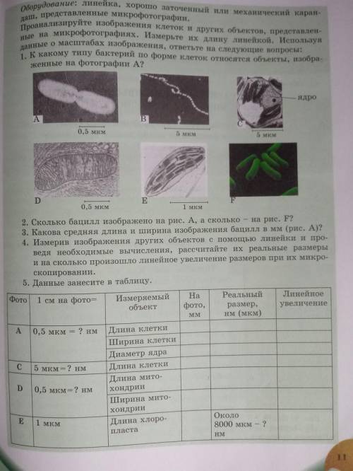 измерив изображения других объектов с линейки и проведя необходимые вычисления, рассчитайте их реаль