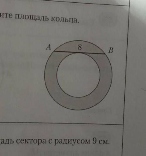 AB=8 см. Найдите площадь кольца ​