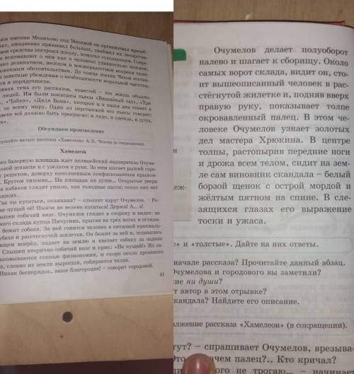 1) С кем вы познакомились в начале рассказа? Прочитайте данный абзац. 2) Какие детали в описании Очу