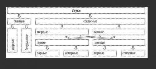 Впишите соответствующие примеры звуков​