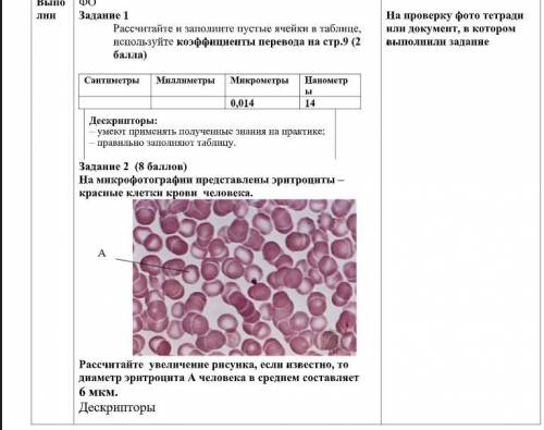 Рассчитайте увеличение рисунка, если известно, то диаметр эритроцита А человека в среднем составляет
