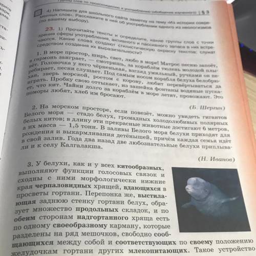 ..предназначено именно для модуляции звуков и позволяет белухе издавать самые разнообразные крики.(п