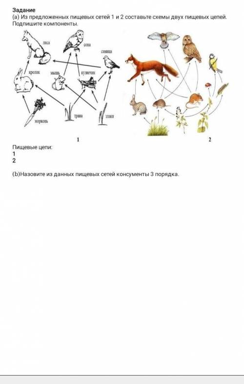 Из предложенных пищевых сетей 1 и 2 Составьте схемы двух пищевых цепочек Подпишите компоненты:​